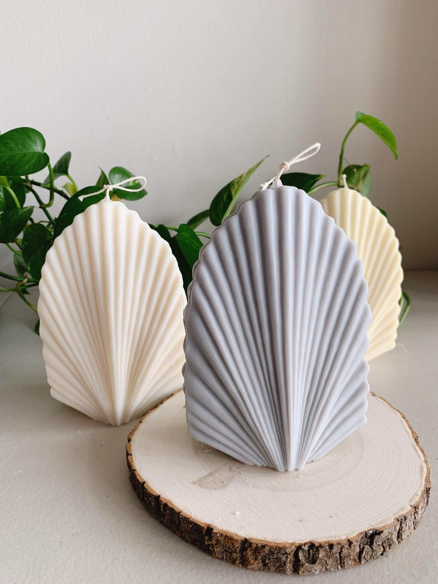 Large Shell Candle